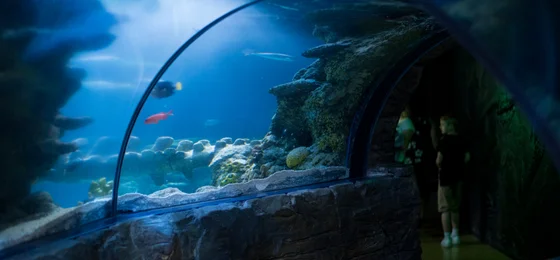 SEA LIFE London Aquarium