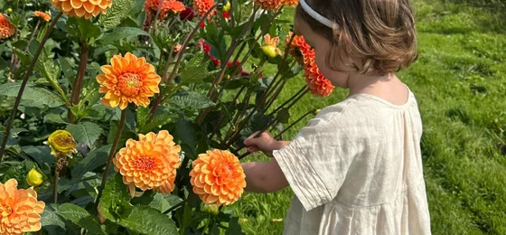 Pluktuin Amstelveen