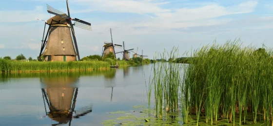 Kinderdijk
