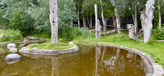 Natuurspeeltuin Amsterdam Noord