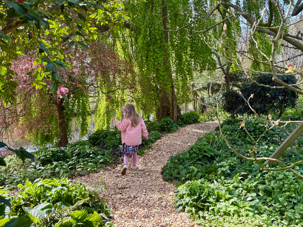 Girl in pink coat walking garden path with pink flowers and green leaves all around