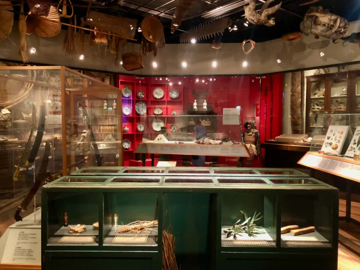 Green display cabinet and red accent wall with artefacts on displace