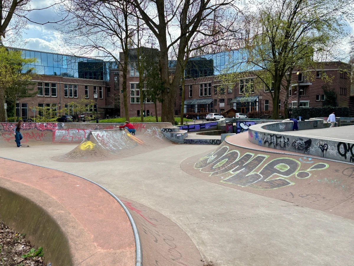 Kids skateboarding at urban skatepark with graffiti and large trees providing share