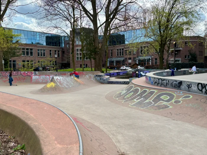 Kids skateboarding at urban skatepark with graffiti and large trees providing share