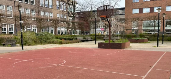 WG Plein Basketball Court