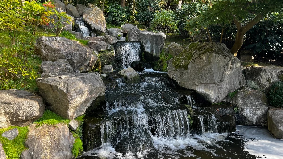 Kyoto Garden