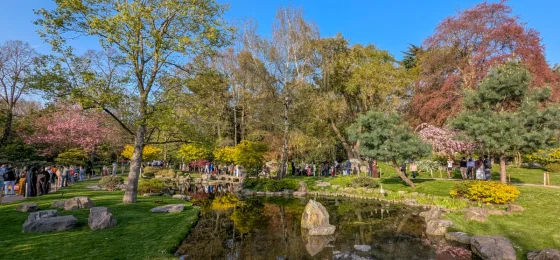 Kyoto Garden