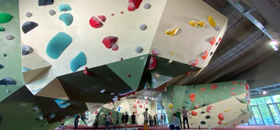 Beest Boulders Amsterdam