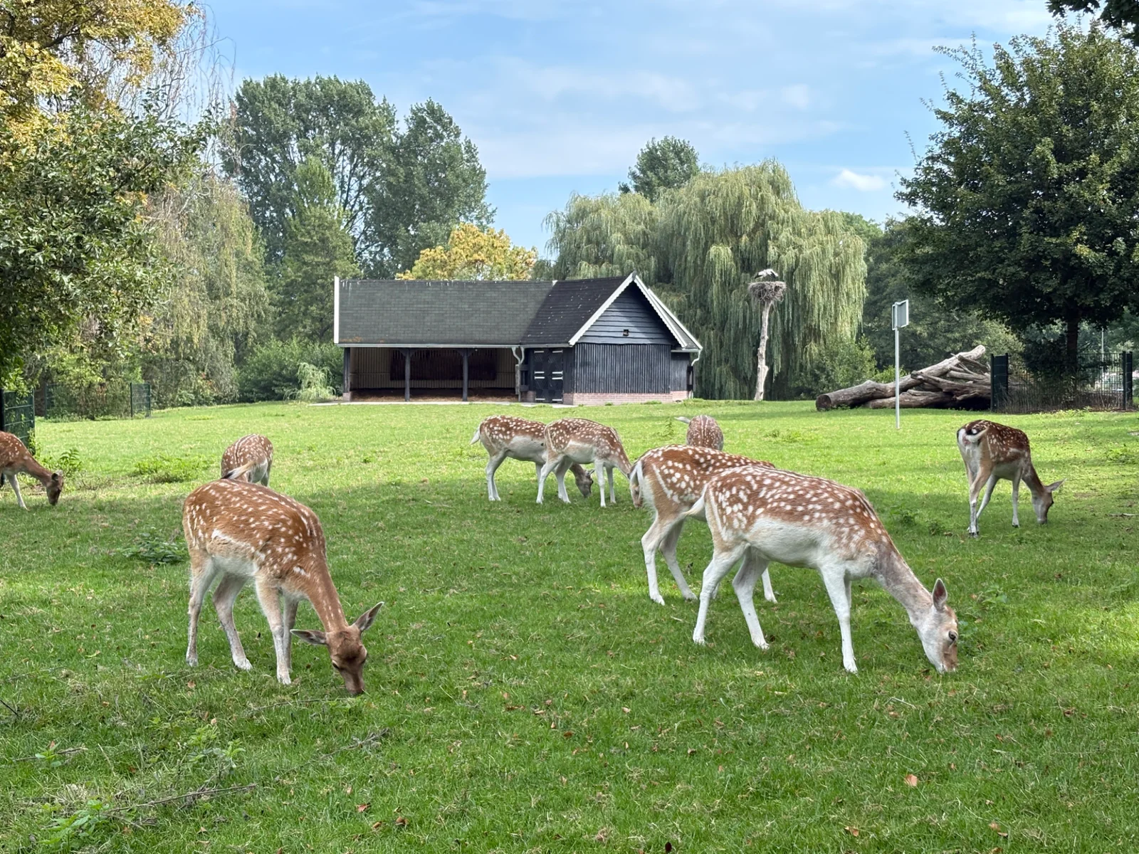 Hertenkamp Kralingse Bos