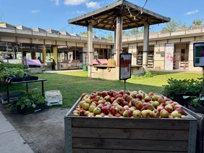 Large box fillled with apples in a small grassy couryard with gazebo and grocery