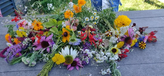 Plukweide - Bloemen Pluktuin