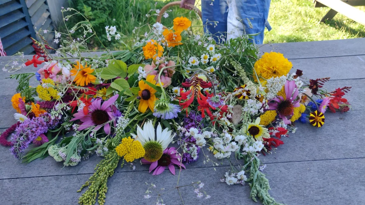 Plukweide - Bloemen Pluktuin