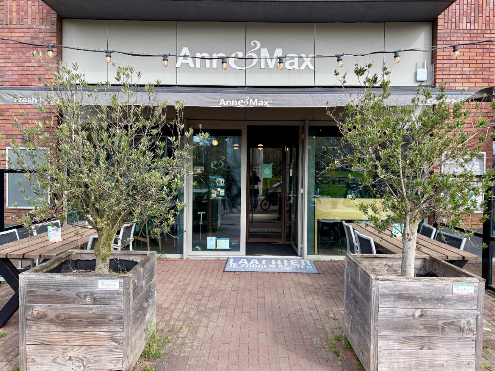 Entrance to cafe with olive trees in oversized wooden planters to either side of the door