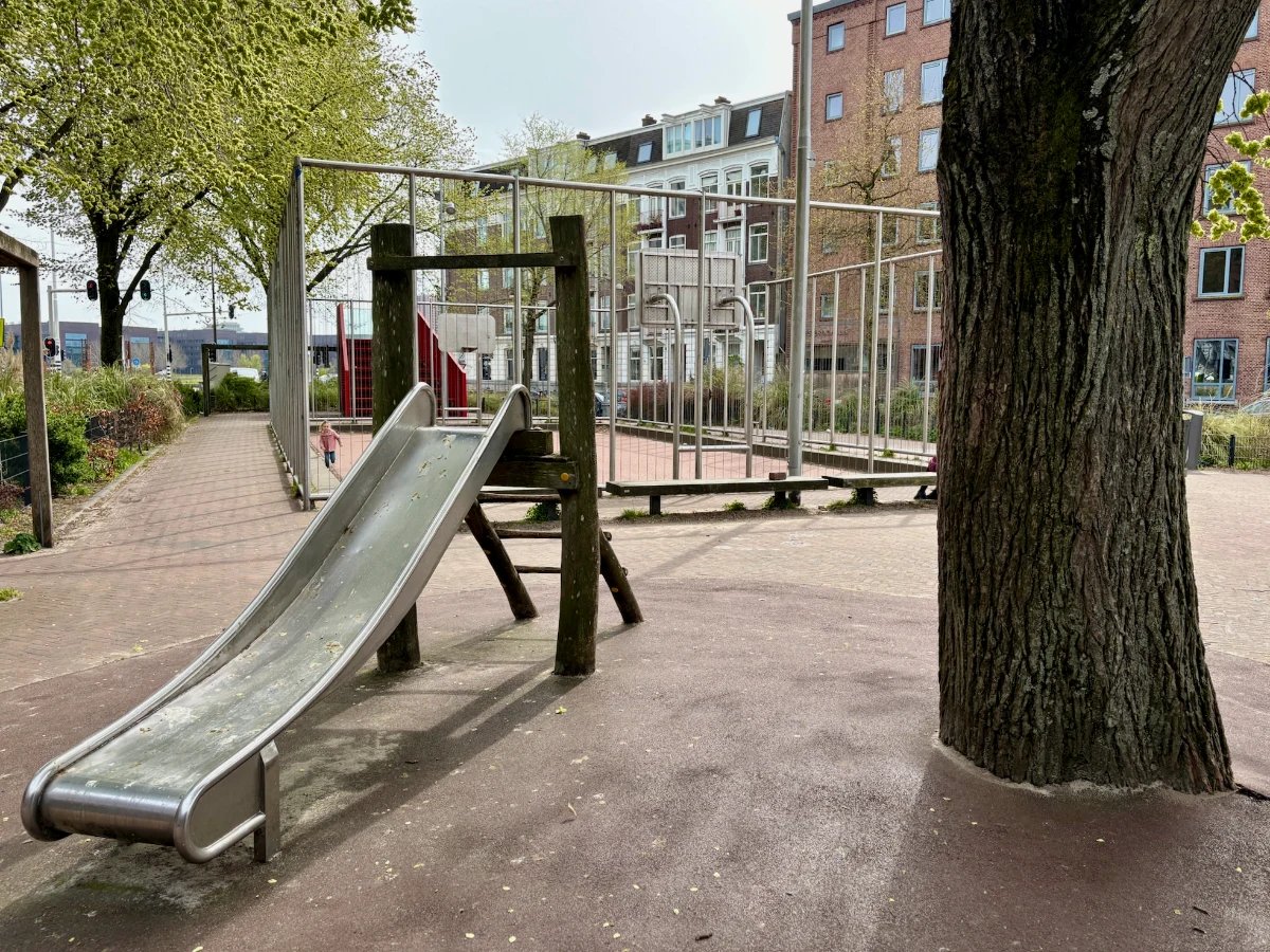 Slide with wooden ladder and kid-sized enclosed basketball court and large tree adjacent