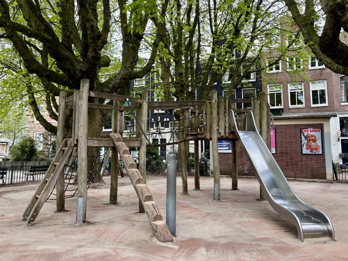 Wooden play structure with ladders, nets, and slide beneath massive trees