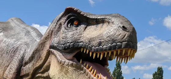 Dino Experience Park