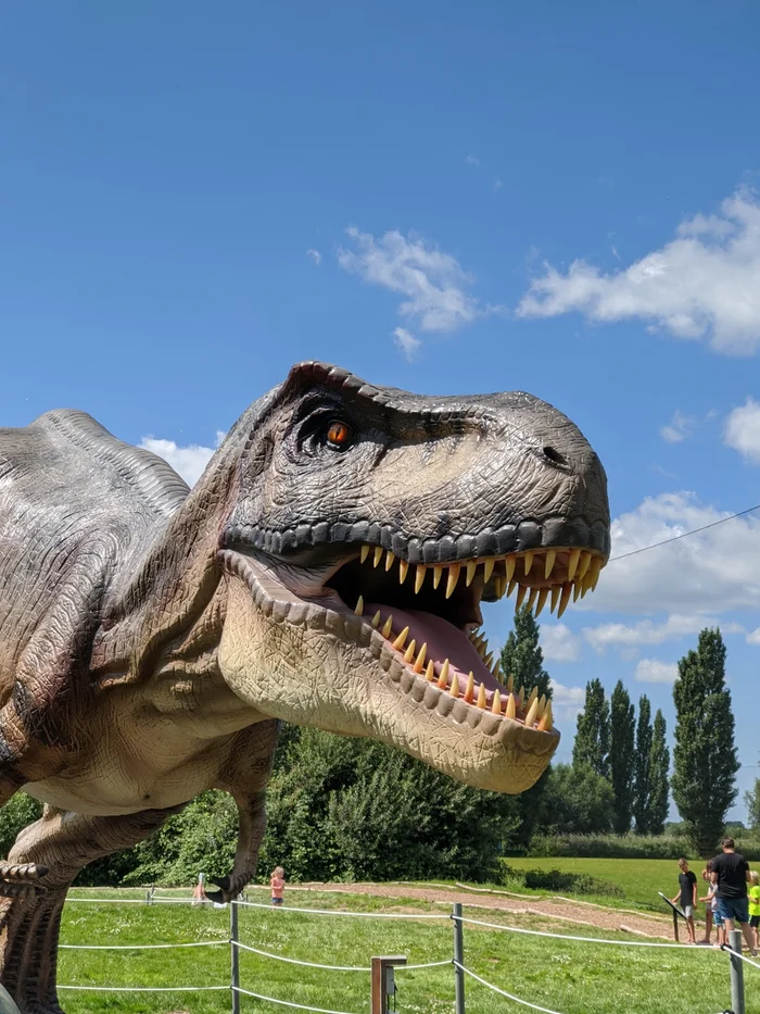 Dino Experience Park