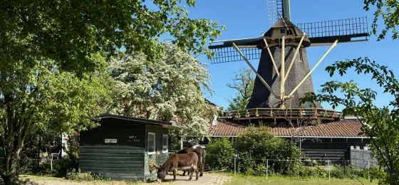 Kinderboerderij De Buiktuin