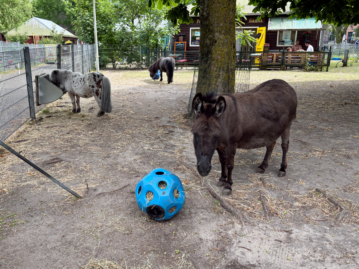 Buurtboerderij Gliphoeve