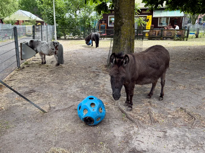 Buurtboerderij Gliphoeve