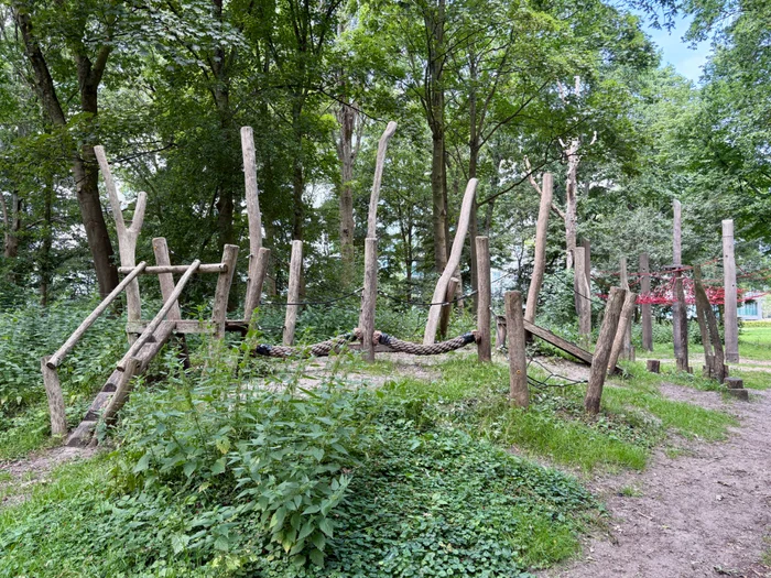 Jungle Park