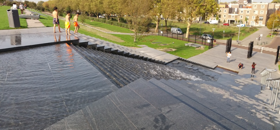 Dakpark Rotterdam