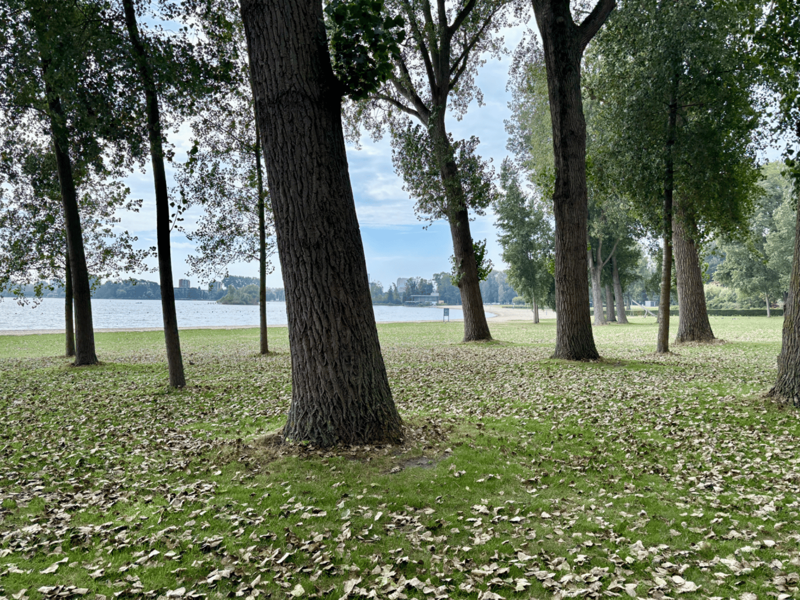 Strand Kralingse Plas