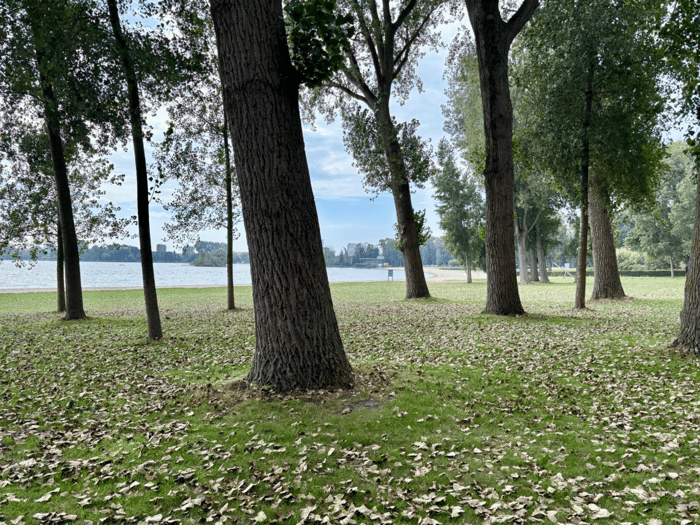 Strand Kralingse Plas