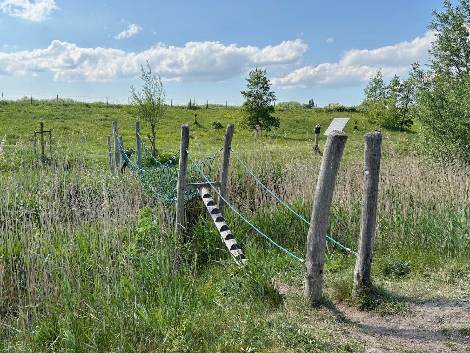 Wood and rope obstacle course spanning canal and tall reeds