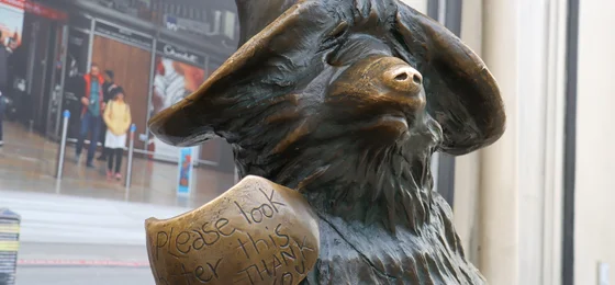 Paddington Bear Pawprint Trail